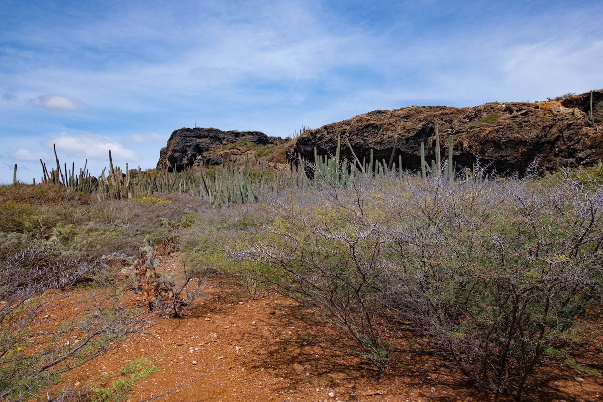Curacao Image 5