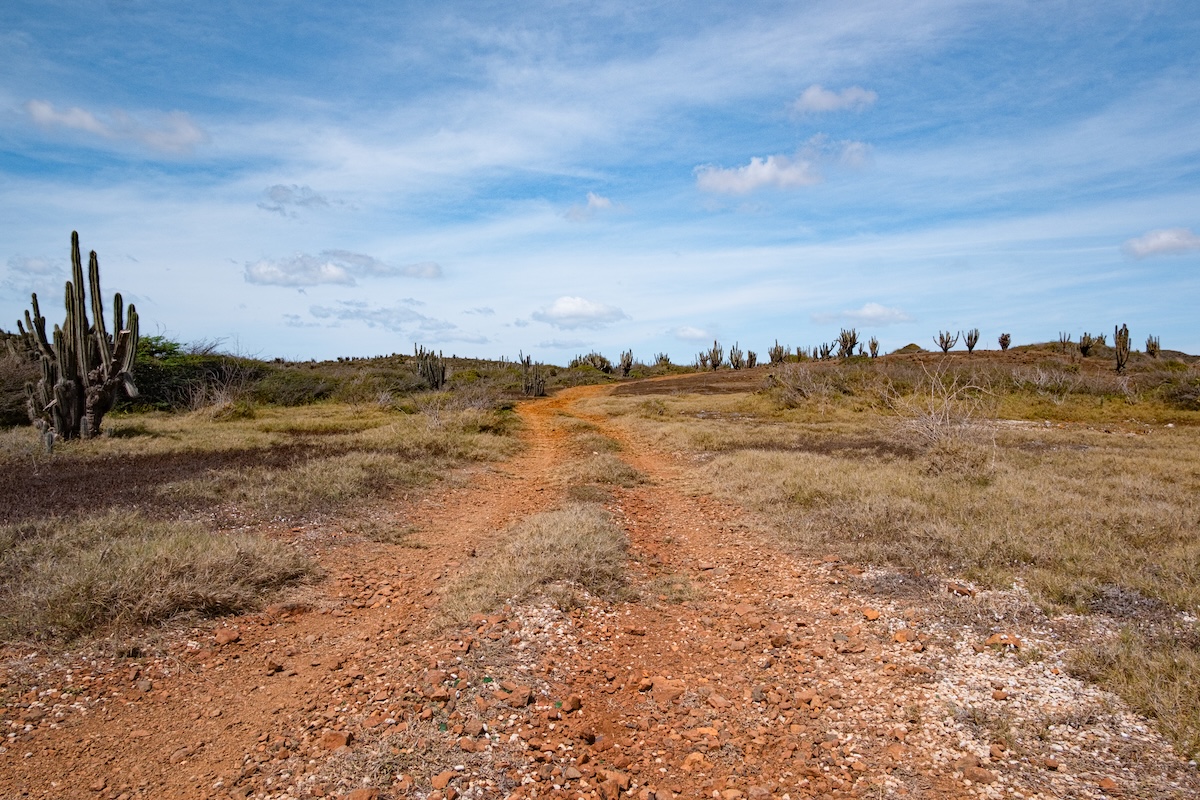 Curacao Image 7