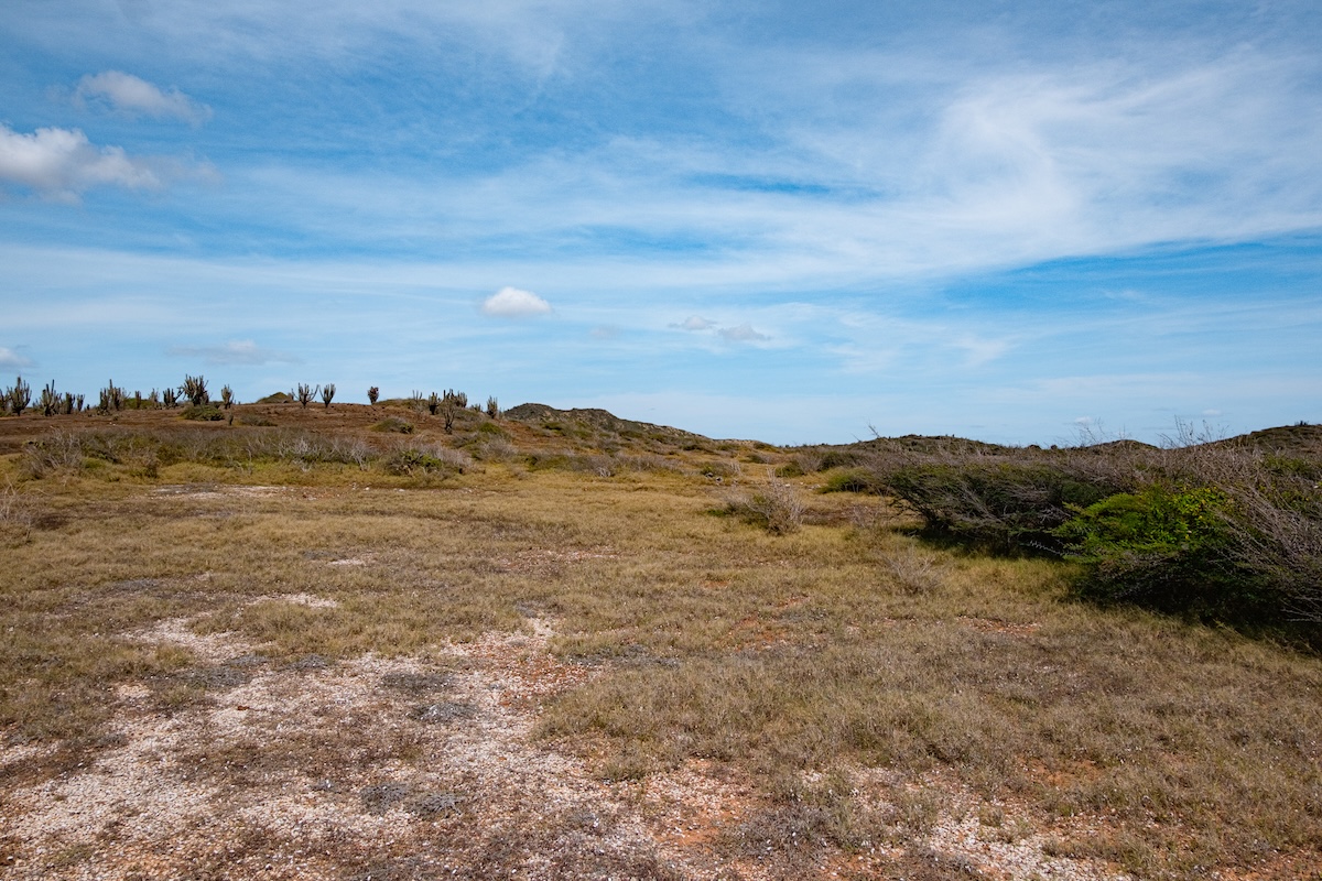 Curacao Image 8