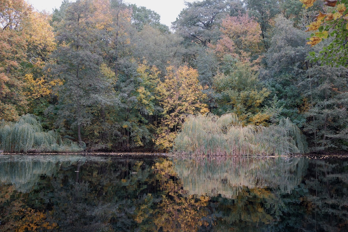nature