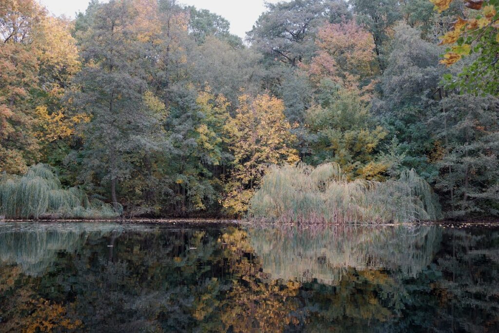 Stadtrat-Hahn-Park in Kiel